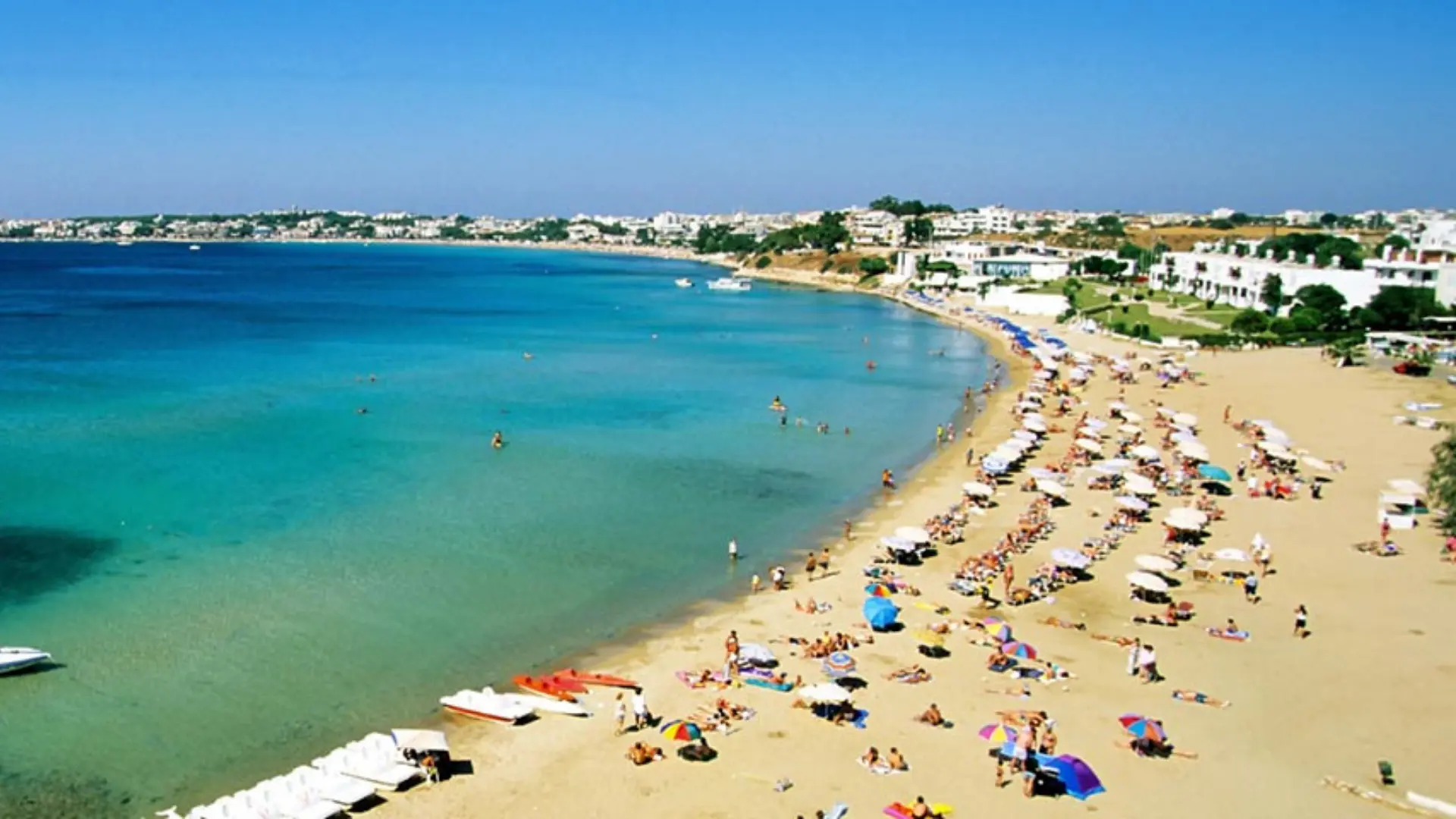 İzmir Didim Transfer